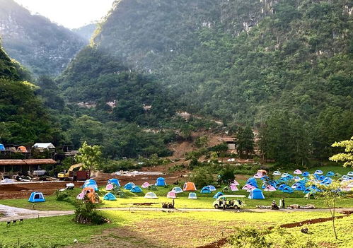 怀集速度 这个旅游基地从动工到开营仅用了100天