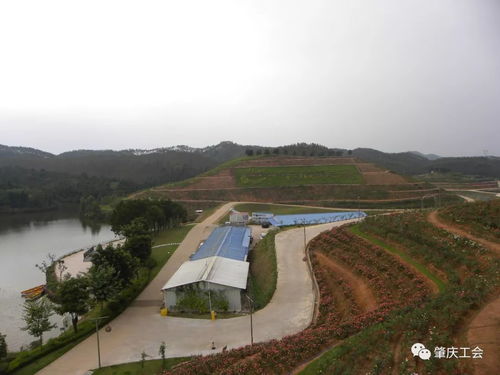 市总工会领导到怀集调研基层工会建设