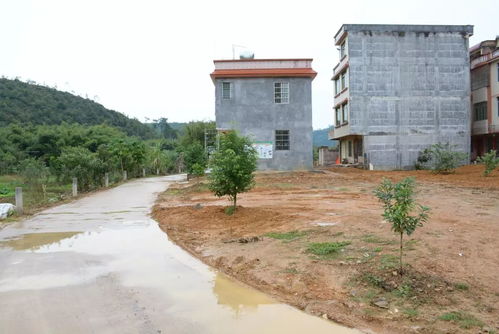 我院领导带队赴怀集调研精准扶贫和新农村建设工作